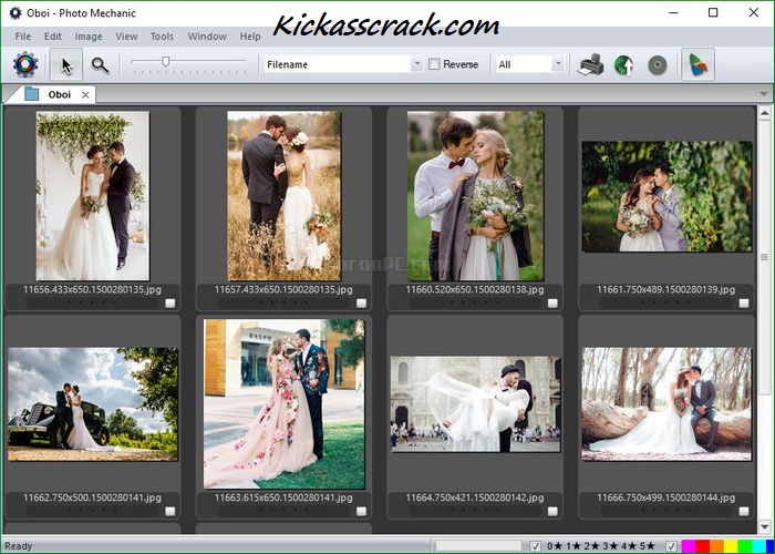 Photo Mechanic 6.9 Crack With License Key Free Download 2023